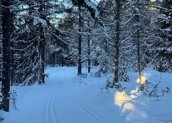 Camping Bjorgebu As Mysusæter